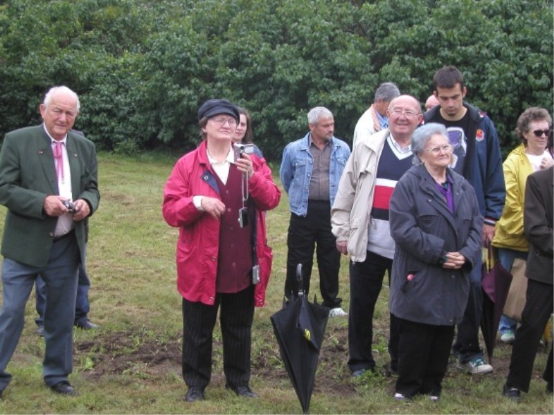 �bersicht-Gru�worte