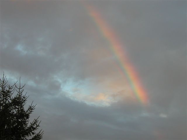 Regenbogen - Vershnung