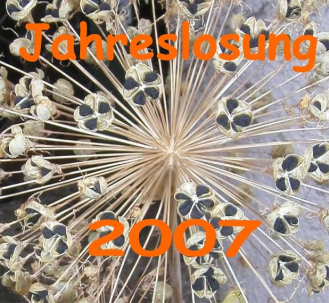 Jahreslosung f�r 2007