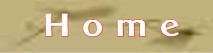 Home - Ziel dieser Homepage