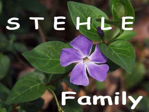 Stehle-Homepage-Frame